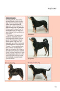 Load image into Gallery viewer, Bernese Mountain Dog (Comprehensive Owner's Guide)
