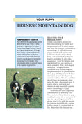 Load image into Gallery viewer, Bernese Mountain Dog (Comprehensive Owner's Guide)