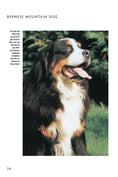 Load image into Gallery viewer, Bernese Mountain Dog (Comprehensive Owner's Guide)