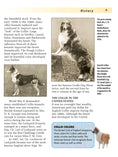 Load image into Gallery viewer, Collie (Comprehensive Owner's Guide)