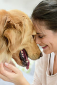 Load image into Gallery viewer, The Dog's Guide to Your Happiness