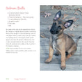 Load image into Gallery viewer, Doggy Desserts