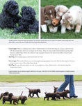 Load image into Gallery viewer, The New Complete Dog Book