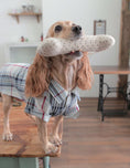 Load image into Gallery viewer, Fun Accessories to Sew for Your Dog