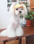 Load image into Gallery viewer, Fun Accessories to Sew for Your Dog