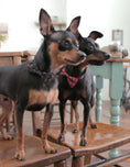 Load image into Gallery viewer, Fun Accessories to Sew for Your Dog