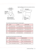 Fun Accessories to Sew for Your Dog