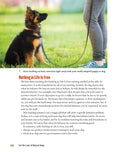 Load image into Gallery viewer, For the Love of Rescue Dogs