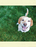 Load image into Gallery viewer, For the Love of Rescue Dogs