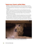 Load image into Gallery viewer, For the Love of Rescue Dogs