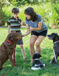 Load image into Gallery viewer, Ultimate Guide to Dog Training