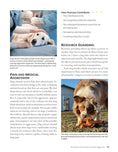 Load image into Gallery viewer, Positive Training for Aggressive and Reactive Dogs