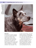 Load image into Gallery viewer, Australian Cattle Dog