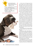 American Pit Bull Terrier