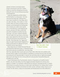 Load image into Gallery viewer, Rescued Dog Problem Solver