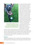Load image into Gallery viewer, Rescued Dog Problem Solver