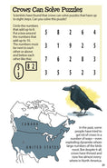 Load image into Gallery viewer, Awesome Bird Puzzles for Kids