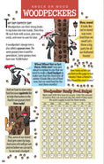 Load image into Gallery viewer, Awesome Bird Puzzles for Kids