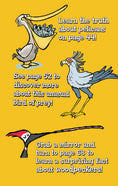 Load image into Gallery viewer, Awesome Bird Puzzles for Kids