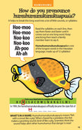 Load image into Gallery viewer, Awesome Undersea Activities for Kids