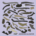 Load image into Gallery viewer, My Sticker Paintings: Reptiles