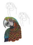 Load image into Gallery viewer, TangleEasy Lined Journal Parrot
