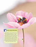 Load image into Gallery viewer, Girl's Guide to Growing Your Own, The