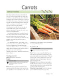 Load image into Gallery viewer, Girl's Guide to Growing Your Own, The