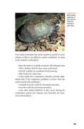 Load image into Gallery viewer, The Box Turtle Manual