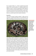 Load image into Gallery viewer, The Ball Python Manual
