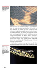 Garter Snakes and Water Snakes