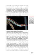Load image into Gallery viewer, Garter Snakes and Water Snakes