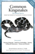Load image into Gallery viewer, Common Kingsnakes