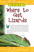 Load image into Gallery viewer, Lizards