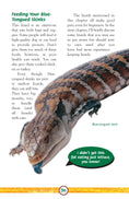 Load image into Gallery viewer, Lizards