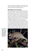 Load image into Gallery viewer, Chameleons