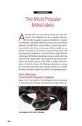 Load image into Gallery viewer, Milksnakes
