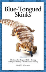 Blue-Tongued Skinks
