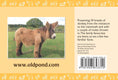Load image into Gallery viewer, Know Your Donkeys