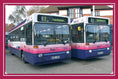 Load image into Gallery viewer, Know Your Buses