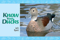 Load image into Gallery viewer, Know Your Ducks
