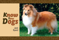 Load image into Gallery viewer, Know Your Dogs