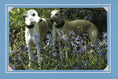 Load image into Gallery viewer, Know Your Dogs