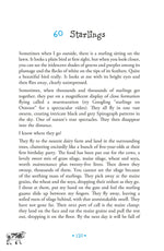 Cows and Catastrophes