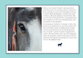 Load image into Gallery viewer, For Love of the Clydesdale Horse
