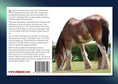 Load image into Gallery viewer, For Love of the Clydesdale Horse