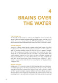 Load image into Gallery viewer, Brain Haulage Ltd: A Company History 1950-1992