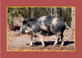 Load image into Gallery viewer, Know Your Pigs