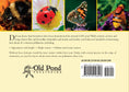 Load image into Gallery viewer, Know Your Pollinators