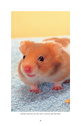 Load image into Gallery viewer, Complete Care Made Easy, Hamsters